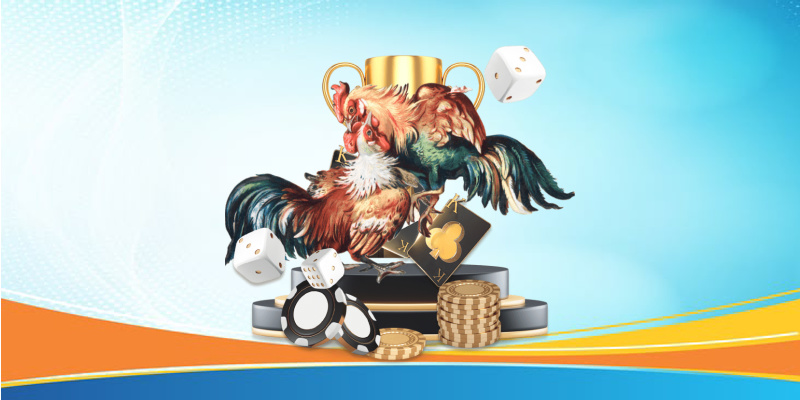 Chiến Lược Chơi Phỏm Để Thắng Lớn