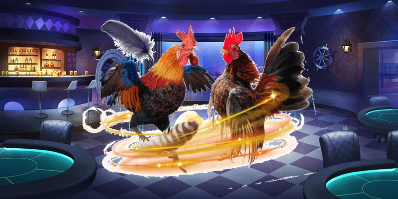 Mẹo Chơi Phỏm Thắng Lớn